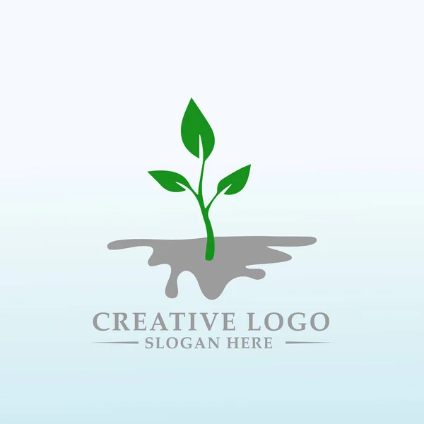 Logo First Innovative Lime Product — Stock Vector