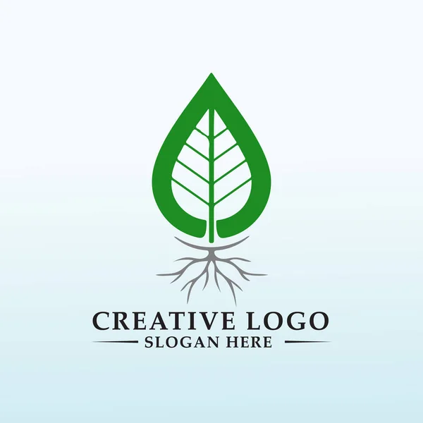 Logo Premier Produit Innovant Base Chaux — Image vectorielle