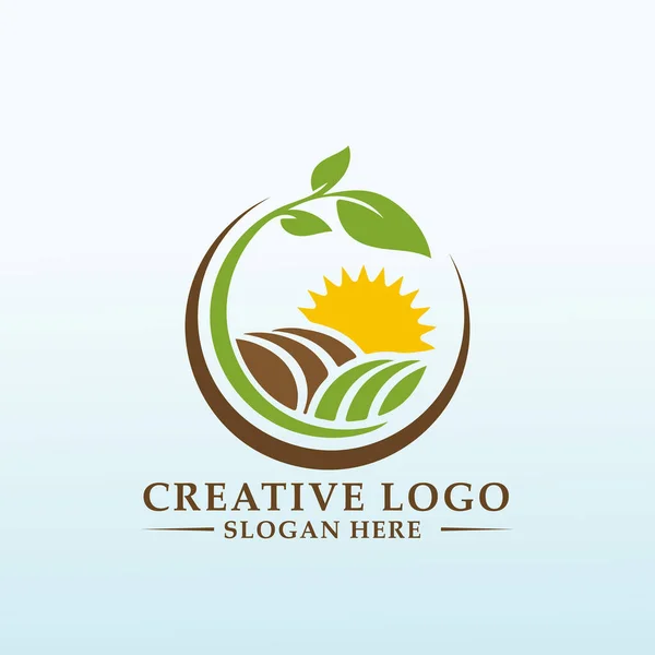 Producir Logotipo Del Grano Café Verde — Vector de stock