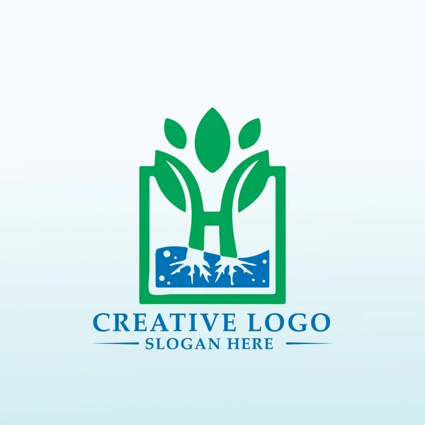 Hierbas Saludables Para Mejor Logotipo Salud — Archivo Imágenes Vectoriales