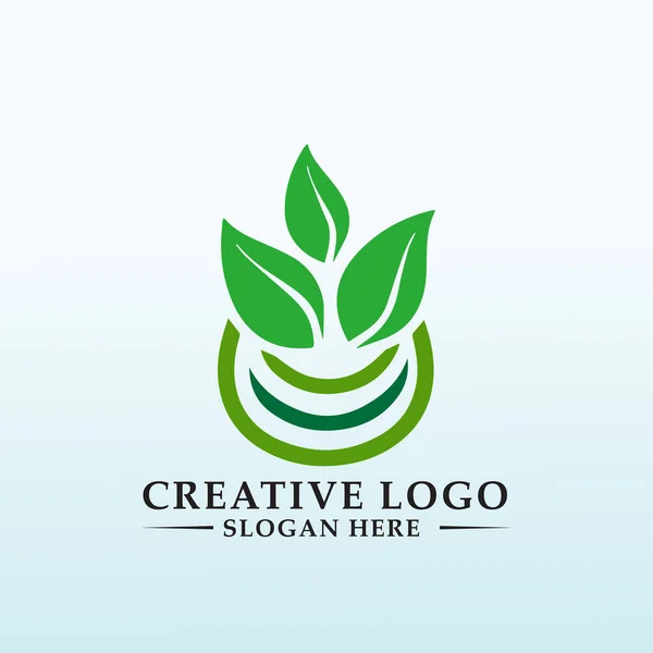 Daha Sağlıklı Logo Için Sağlıklı Bitkiler — Stok Vektör