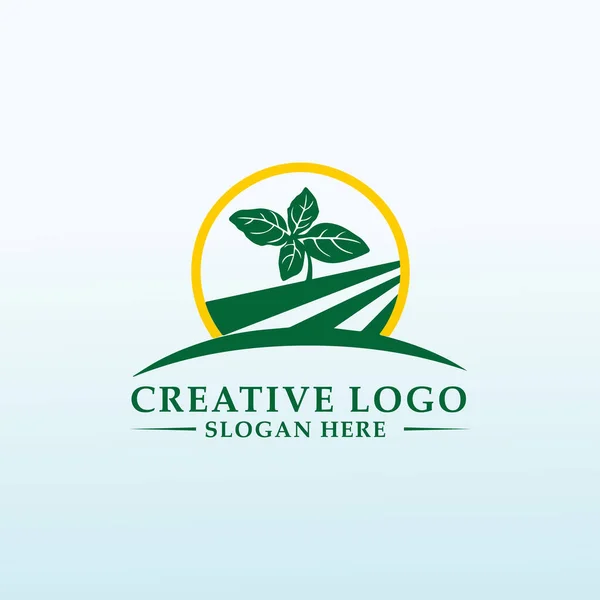 Logo Des Grands Producteurs Basilic Agricole — Image vectorielle