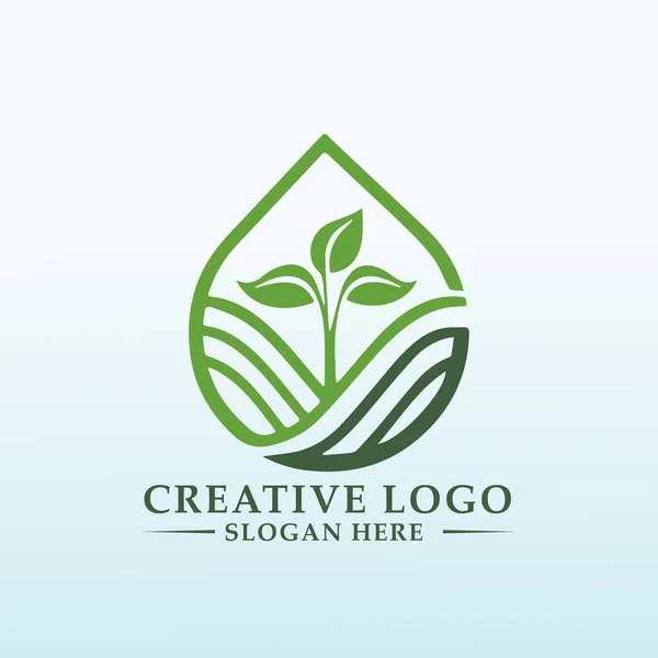 Logotipo Para Consultoria Regenerativa Crescer — Vetor de Stock