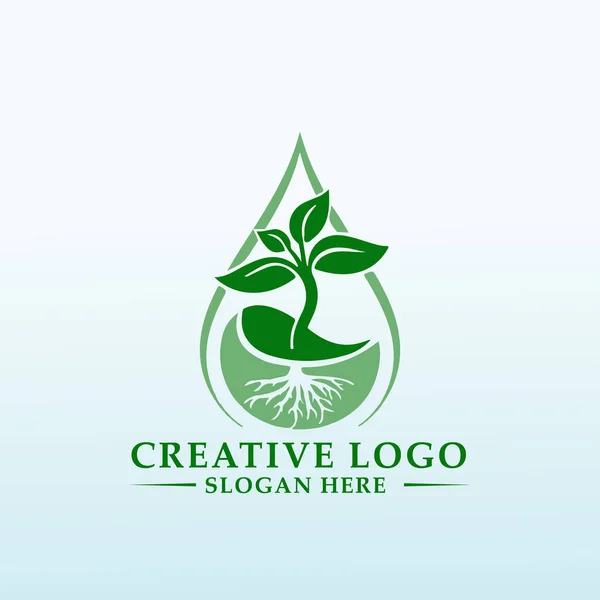 Logo Vettoriale Cannabis Nursery — Vettoriale Stock