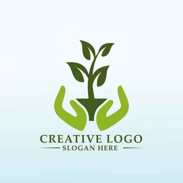 Logo Pour Centre Formation Pour Agriculture Bio Dynamique — Image vectorielle