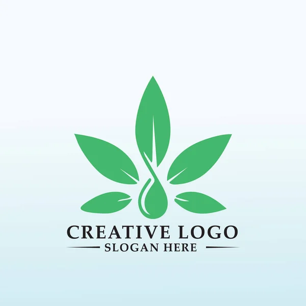 Conception Logo Vectoriel Pépinière Cannabis — Image vectorielle