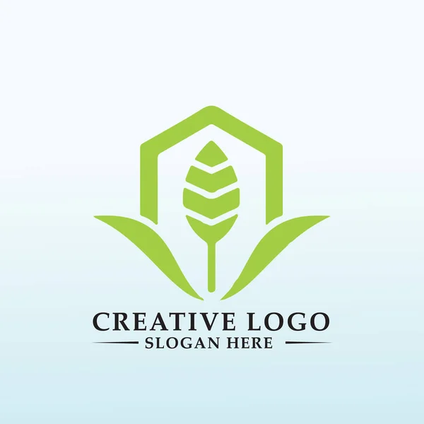 Designa Modern Logotyp För Vår Gård — Stock vektor