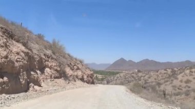 Arjantin 'de, Route 40' ın kaktüs çölünde toprak yol. Yüksek kaliteli FullHD görüntüler