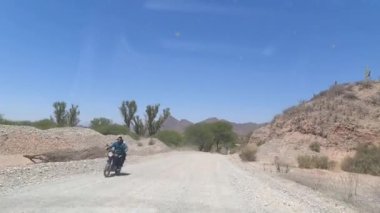 Arjantin 'de, Route 40' ın kaktüs çölünde toprak yol. Yüksek kaliteli FullHD görüntüler