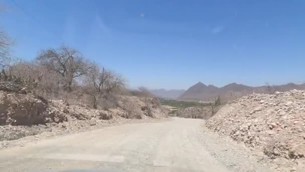 Vuile Weg Cactuswoestijn Van Route Argentinië Hoge Kwaliteit Fullhd Beeldmateriaal — Stockvideo