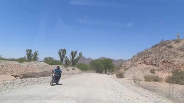 Carretera Tierra Desierto Cactus Ruta Argentina Imágenes Fullhd Alta Calidad — Vídeos de Stock