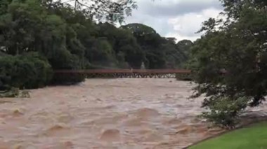 Piracicaba river torrential brown waters. Brown waters.