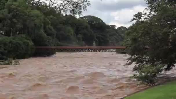 ピラシカバ川の豪雨茶色の水 茶色の海 — ストック動画
