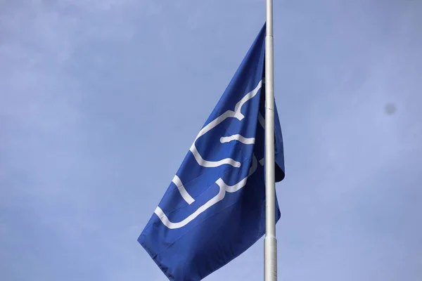 Blaue Flagge Der Universität Von Sao Paulo Der Stange Hochwertiges — Stockfoto