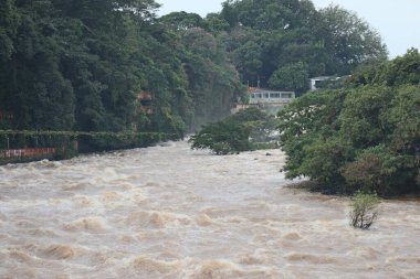 Piracicaba Nehri manzarası. Piracicaba nehri yüksek su seviyesinde. Yüksek kalite fotoğraf