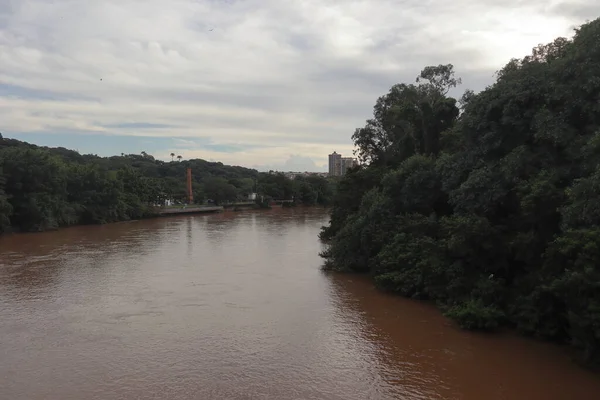 Piracicaba Nehri manzarası. Piracicaba nehri yüksek su seviyesinde. Yüksek kalite fotoğraf