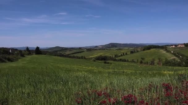Volterra Toszkána Olaszország 2023 Május Tájkép Volterra Felé Vezető Útról — Stock videók