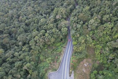 view from the top of the serra do mar, in the section where there is the road that connects Taubate to Ubatuba. Green atlantic forest.