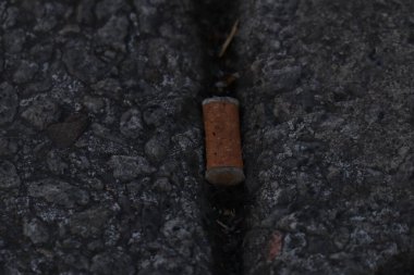 cigarette butt lying in the gutter. High quality photo