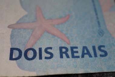 Brezilya 'nın gerçek yakın çekim makrosu. Yüksek kalite fotoğraf