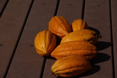 Yerde birkaç tane taze sarı kakao kabuğu var. Yüksek kalite fotoğraf