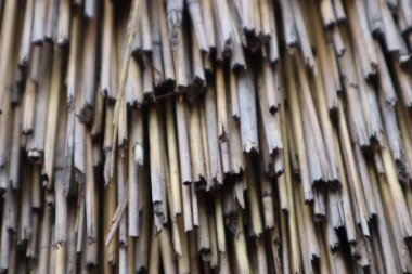 Çatının arka planına yakın çekim. Saman. Yüksek kalite fotoğraf