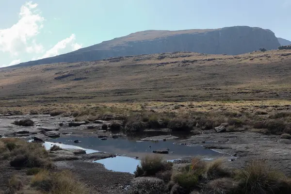 Sentinel Peak, 3165 metre, Güney Afrika 'daki Royal Natal Ulusal Parkı' ndaki amfitiyatronun bir parçası olarak. Yüksek kalite fotoğraf