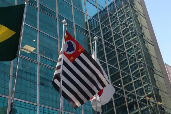 Japonya bayrağı ve Sao Paulo, Brezilya bayrağı birlikte. Yüksek kalite fotoğraf