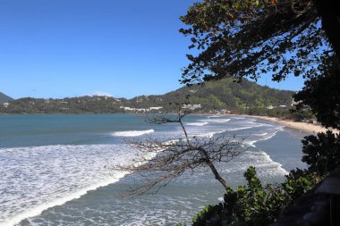 Toninhas Sahili, Ubatuba, Sao Paulo, Brezilya. Yüksek kalite fotoğraf