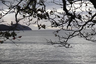Brezilya, Ubatuba 'daki Itagua Sahili' nde huzurlu bir şafak, sakin okyanus suları sabah ışığını yansıtıyor. Sahne bulutlara, uzak dağlara ve tropikal bir kıyı şeridine sahipti. Huzur ve doğal güzellik için mükemmeldi..
