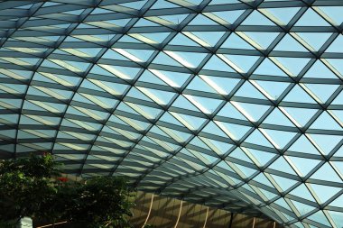 Büyük cam kubbe ve Dohas Hamad Uluslararası Havalimanı Doha, Katar 17 Kasım 2023 Orchard kapalı bahçe üzerinde yükseltilmiş yürüyüş yolu. Yüksek kalite fotoğraf