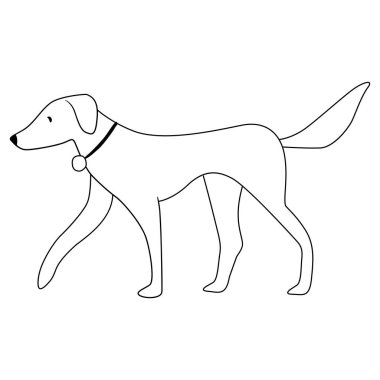 Köpek gezdirme ve çizim sanatı 