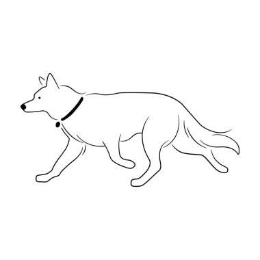 köpek sürekli çizim çizimi yapıyor. 