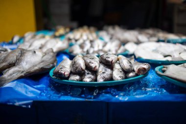 Mavi plastik kaplı mavi bir masa üzerinde bir tabak balık sergiliyor. Tabakta balıklar var ve onları taze tutmak için buzla çevrili.