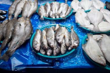 Mavi plastik kaplı mavi bir masa ve mavi plastik bir masa örtüsü. İçinde balık olan mavi bir plastik kase.