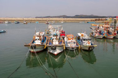 Gyeonggi-do, Güney Kore - 07 Kasım 2022 Gungpyeong Limanı, bir grup tekne rıhtıma yanaştı. Teknelerin boyutları ve renkleri farklı.