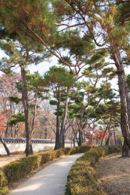 Changgyeonggung Sarayı Giriş Bahçesi, Seul, Güney Kore.