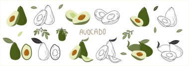Avokado el çizimi çizimi. Avokado çerçevesi. Renkli illüstrasyon. Paket tasarımı için kullanılabilir. Avokado yemeği. Ayarla