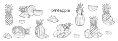 Vektör çizimleri, ananas, ananas kesiği, ananas dilimleri, düz el çizimi, siyah beyaz renkli çizimler. 