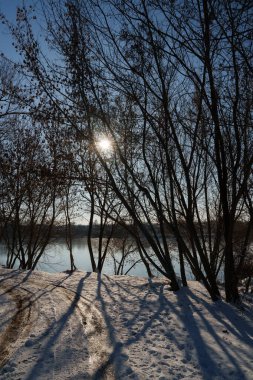 A snowy road with trees. The sun shines through the trees. Postcard. Lake. Nature. clipart