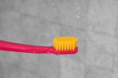Sarı tüylü, ıslak kırmızı diş fırçası. Damlalar. Ağız temizliği. Sabah ritüeli.