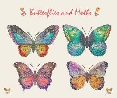 Beautiful patterned butterfly painted in watercolor on white background.