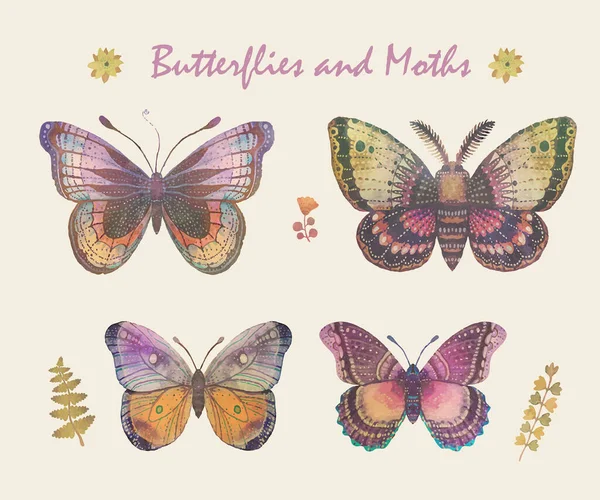 Beautiful Patterned Butterfly Painted Watercolor White Background — 스톡 벡터
