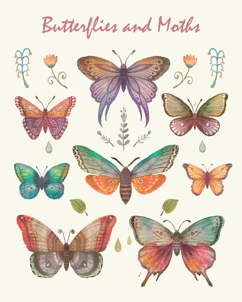 Beautiful Patterned Butterfly Painted Watercolor White Background — Image vectorielle
