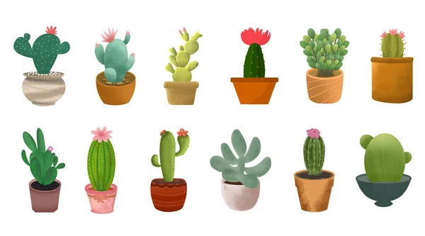 Free Vector Cute Cactus Collection — Vettoriale Stock