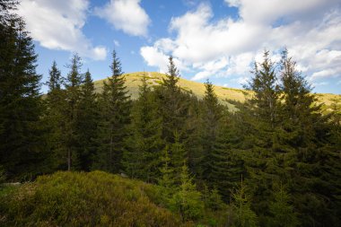 Dağların güzel manzarası.