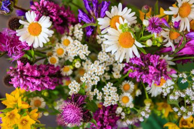 Aydınlık doğa arka planında güneşli bir günde çimen renkli çiçekler..