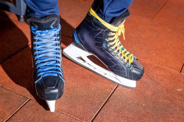 Antrenman ve halk pateni için buz pateni kiralama.