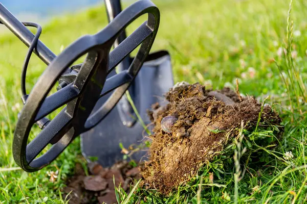 Stock image Search for coins with a metal detector. Search for ancient treasures.