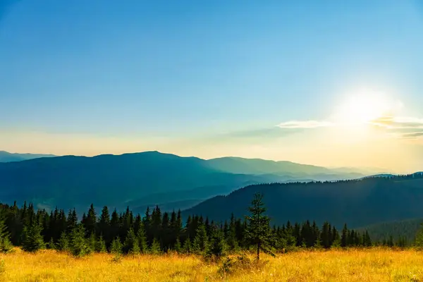 stock image Beautiful landscape in the mountains on a summer day.